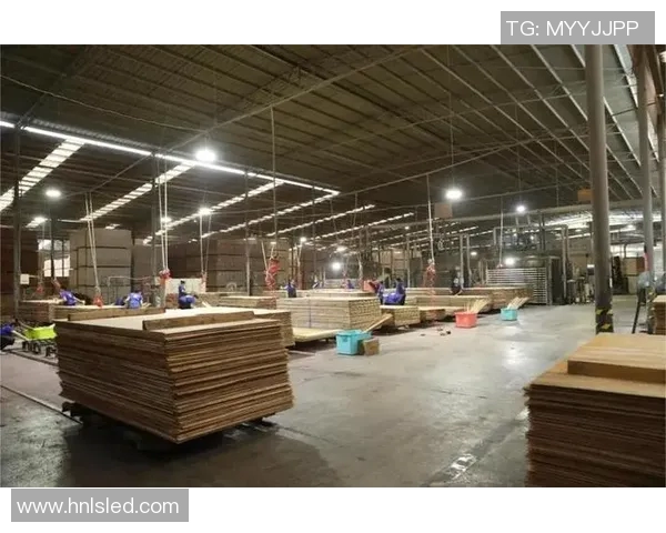 重庆排球队防守革新之路：从传统到现代的全面转型与实践探索