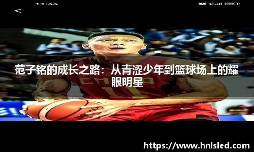 mksport体育